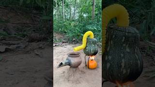 Survival Skills steam bad water in Pumpkin camping bushcraft outdoors useful [upl. by Gimpel]