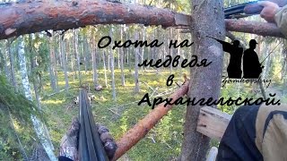 Отчет о поездке на охоту на медведя в Архангельскую областьBear Hunt in the Arkhangelsk Region [upl. by Assirram]