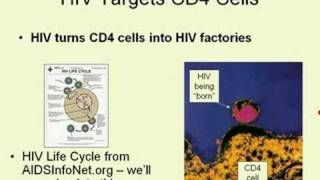 CD4 and Viral Load Tests Part 2 [upl. by Filipe]