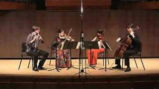 Mozart Flute Quartet in D  1st Movement [upl. by Atal]