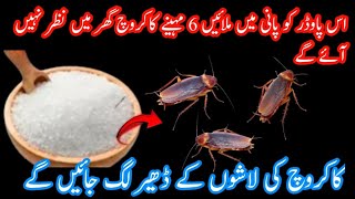 How To Kill CockRoaches  How To Kill Cockroaches  Get Rid Of Cockroaches Mariaafzalofficial [upl. by Ativak]