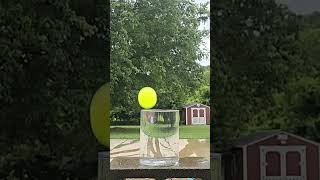 Slow Motion Pickle Ball Drop  Splash [upl. by Belford]