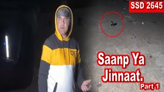 SSD 2645  Saanp Ya Jinnaat Part 1 [upl. by Thorncombe]