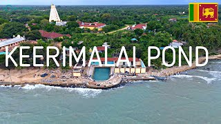 MIRACLE POND IN SRILANKA  KEERIMALAI  JAFFNA  SOSRILANKA  Naguleswaram temple  AERIAL VIEW [upl. by Ile]