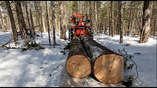 Compact Tractor With Log Grapple And Skidding Winch In Action [upl. by Rovert855]