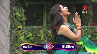 Bigg Boss Telugu 8  Day 64  Promo 1  Nomination Drama Begins 🔥 Nagarjuna  Star Maa [upl. by Anyek]