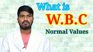 What is WBC TestampNormal ValuesWhite Blood Cells [upl. by Edva866]