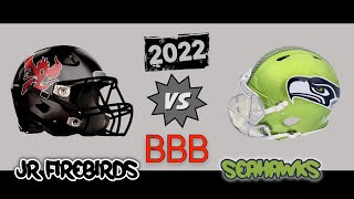 JR FireBirds V Seahawks U10 2022 Highlights [upl. by Adnert654]