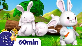 Sleeping Bunnies  LittleBabyBum  Nursery Rhymes for Babies [upl. by Painter]