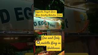 🍳melette King Haldwani  D Egg Point🥚 DEggPoint eggpoint eggrecipes foodvlog viral delicious [upl. by Persas]