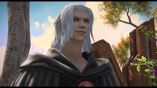 Cutscenes with EmetSelch  FFXIV Endwalker [upl. by Ahsenauj241]