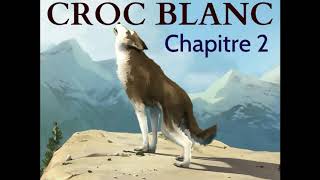 Croc Blanc  Livre Audio ðŸ”ˆ  Chapitre 2  La louve  Jack London [upl. by Lucinda443]