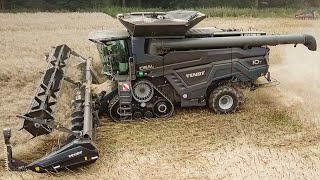 FENDT IDEAL 10T  Fendt 939 Vario bei der Rapsernte 2023 [upl. by Nallad130]