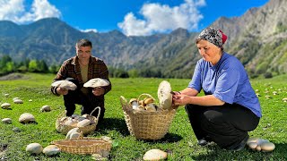 Collecting Wild Mushrooms in Azerbaijan’s Mountains  Traditional Mushroom and Potato Recipe [upl. by Karie833]