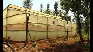 Low cost greenhouse farming [upl. by Tamara]