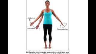 Chapter 842 Synovial Joint Movements BIO201 [upl. by Atled]