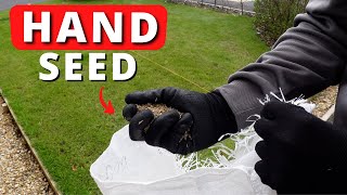 Cheapest Way To Overseed A Patchy Lawn  No Tools [upl. by Cheri616]