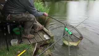 Common Carp on Margin Pole [upl. by Thorn]