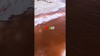 Mexico natural Pink Salt Pools art nature naturelovers wildlife explore travel mexico [upl. by Seve]