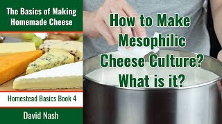 How to Make a Mesophilic Cheese Culture  What is a Cheese Culture [upl. by Witha854]