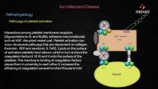 Von Willebrand Disease  Case based webinar discussion usmle step 1 [upl. by Ynos]