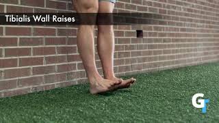 Tibialis Wall Raises Exercise Demo [upl. by Annalee402]