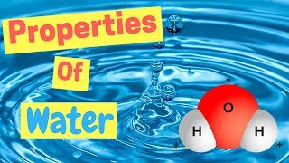 Properties of Water  Polarity  Hydrogen Bonds  Adhesion amp Cohesion [upl. by Ainnat450]