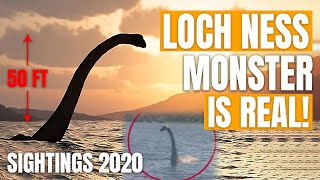 The Lochness Monster Is Real  New Sightings Explained [upl. by Essie]