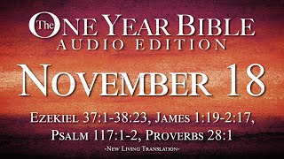 November 18  One Year Bible Audio Edition [upl. by Anaeco]