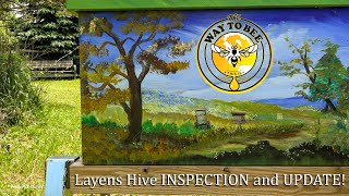 Layens Hive Inspection and Update Insulated Horizontal Hive from Dr Leos Website [upl. by Dun]