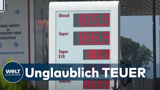 AUTOFAHRER GENERVT Benzinpreise im August auf Höchststand [upl. by Annert597]