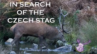 IN SEARCH OF THE CZECH STAG [upl. by Ecnerrat]