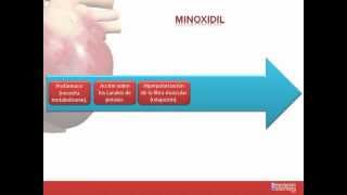 Tema 26 FARMACOLOGÍA CARDIOVASCULAR Fármacos indicados para la Hipertensión Arterial [upl. by Ayk]