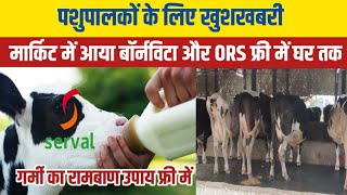 9 महिने में बछिया होगी तैयार आ गया नया पाउडरcalf milk replacer priceServal milk replacer price [upl. by Bessie816]