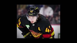 Who loves hockeys NHL Quinn Hughes Canucks [upl. by Lerret]