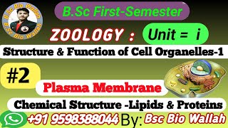 Plasma Membrane  Chemical Structure  Lipis amp Proteins Structure amp function of Cell Organelles [upl. by Proudfoot]