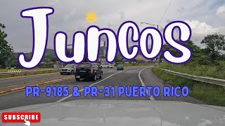 Juncos PUERTO RICO in 4K Roads 9185 amp 31 in 2024 [upl. by Acino8]