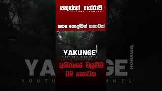 අභිරහස් වලව්ව 09 කොටස  sinhala holman katha sinhalaholmankatha horrortok viral foryou [upl. by Ransome745]