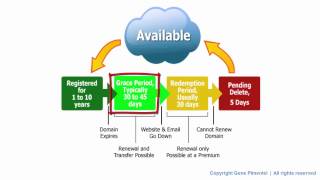 Master Domaining The Life Cycle of a Domain Name [upl. by Drusus248]