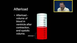 Preload Afterload and Cardiac Output [upl. by Alliscirp934]