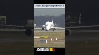 Amazing Airbus Beluga XL Takes Off Flight  Never seen before ✈️ [upl. by Nohsav]