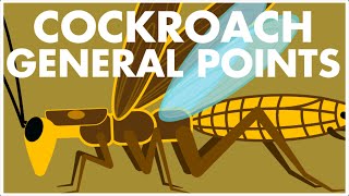 CockroachGeneral points  Cockroach Class 11 NEET 2022 [upl. by Nomsed794]