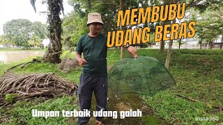 Tutorial Membubu Udang Beras [upl. by Anhpad]