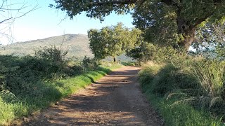 Da San Vittorino a San Gregorio da Sassola RM a piedi luoghisegretiaduepassidaroma [upl. by Thorr]