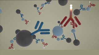 AIAPACK Test Cup Reagent Technology  Animation [upl. by Abdel]