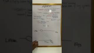 Abdominal anatomy lecture 2  Raffiulah by Dr Ahsan [upl. by Letch718]