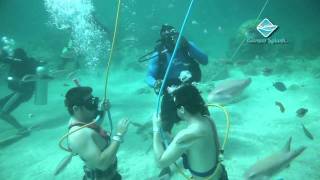 Bavaro Splash by Ocean Adventures Punta Cana [upl. by Romito]