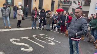 Benedizione degli animali a Brivio per la festa di SantAntonio Abate [upl. by Seabrooke]