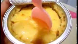 YOPLAIT FLAN HOME TYPE WITH EGG AND MILK [upl. by Asylla]