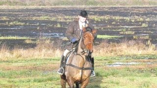 Suir Vale Harriers Hunt Moyne Jan 2014 [upl. by Liane]